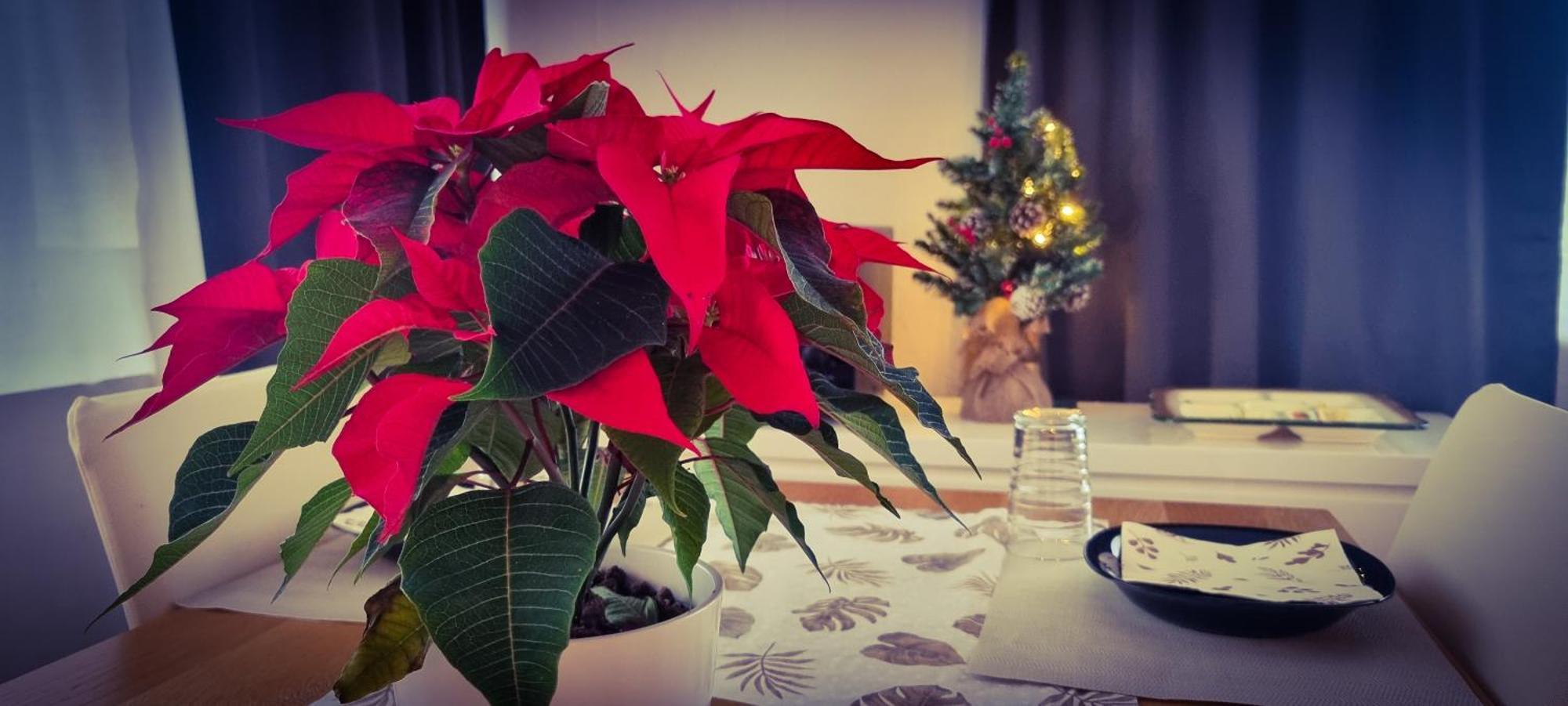 Apartment Hannover - Langenhagen Center מראה חיצוני תמונה